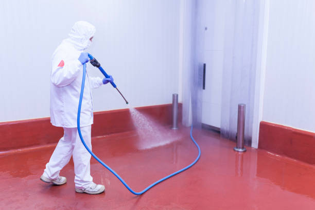 Pre-Holiday Cleaning in Eggertsville, NY