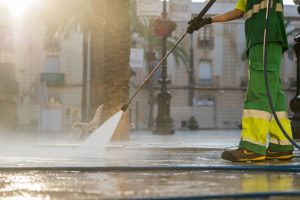 Best Dumpster Area Cleaning  in Eggertsville, NY